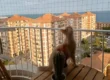 Redes de seguridad para gatos instaladas en balcón