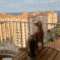 Redes de seguridad para gatos instaladas en balcón