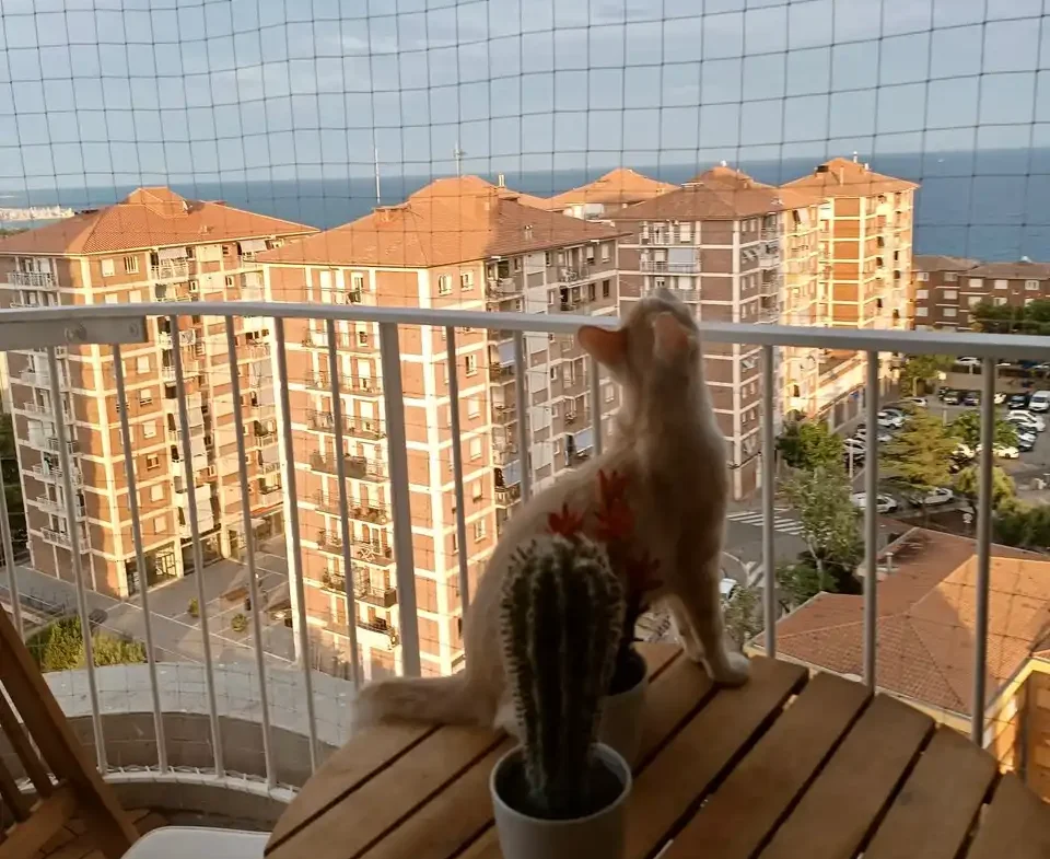 Redes de seguridad para gatos Redes de seguridad para gatos instaladas en balcón